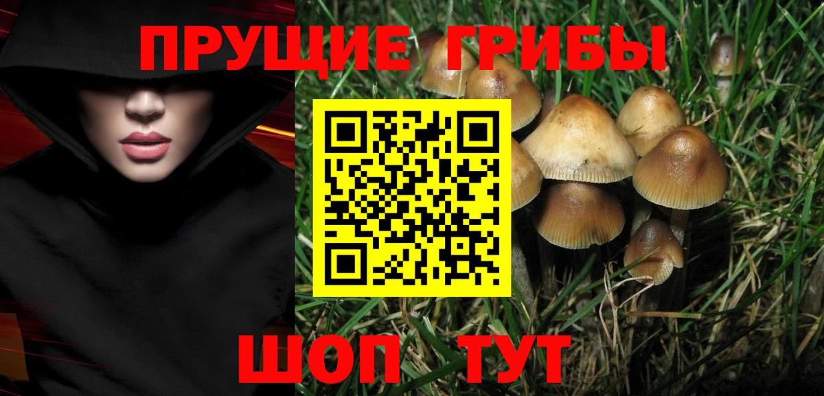 Саранск  Псилоцибиновые грибы MAGIC MUSHROOMS  Вход с VPN 